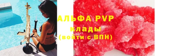 прущие грибы Белокуриха