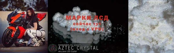 прущие грибы Белокуриха