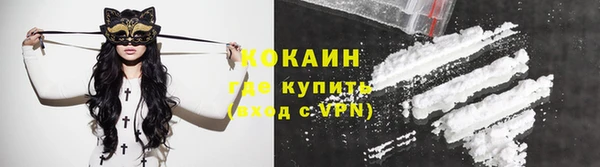 прущие грибы Белокуриха