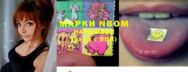 прущие грибы Белокуриха