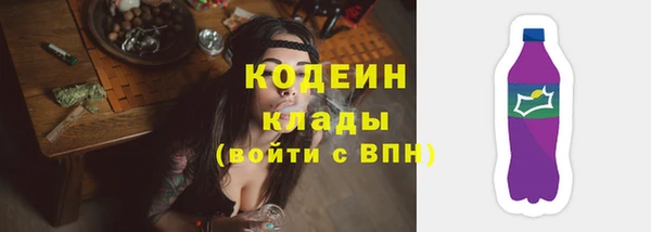 прущие грибы Белокуриха