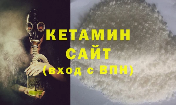 прущие грибы Белокуриха