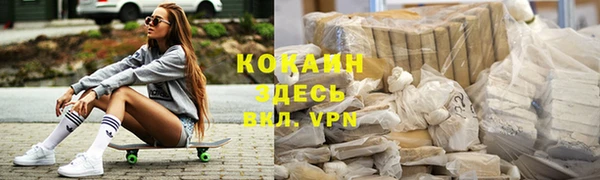 прущие грибы Белокуриха
